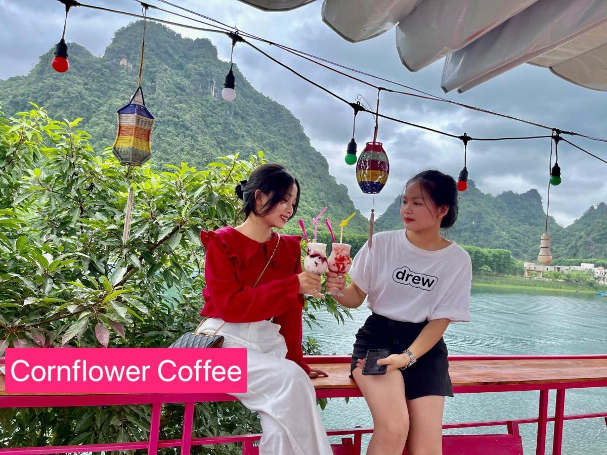 Cornflower Homestay Фонгня Экстерьер фото